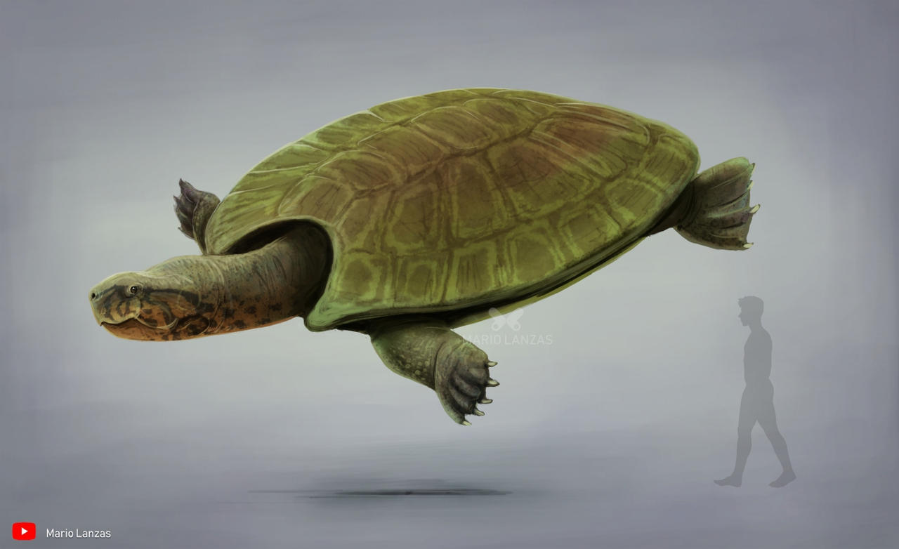 Stupendemys by MarioLanzas on DeviantArt