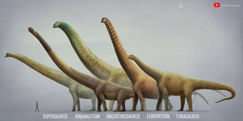 Largest Sauropods