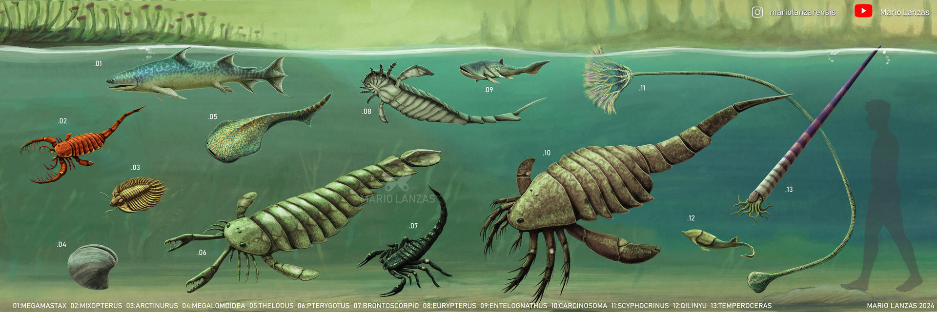 Silurian Period Animals 319 Million Year Old Fossilised Fish