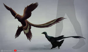 Microraptor and Changyuraptor