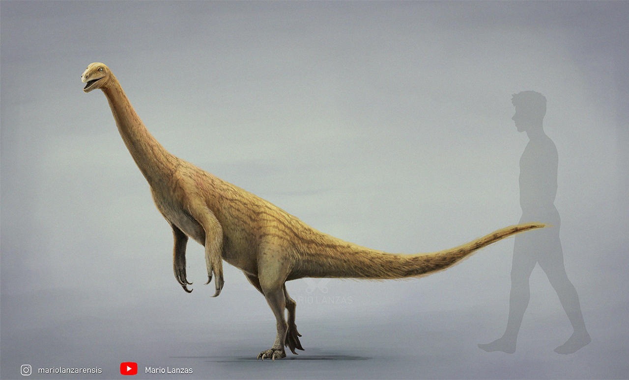 Falcous Falcarius by MarioLanzas on DeviantArt