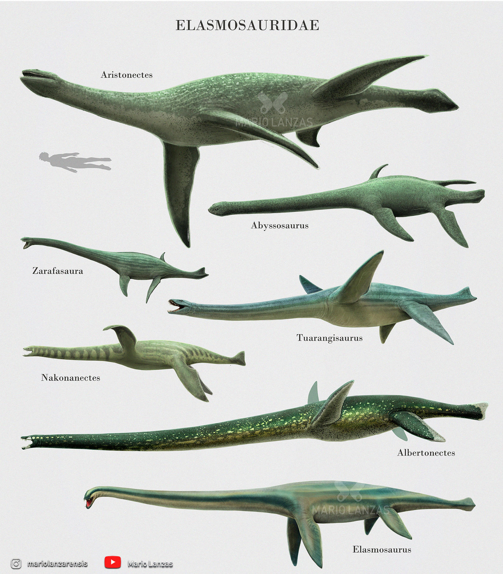 Elasmosauridae by MarioLanzas on DeviantArt