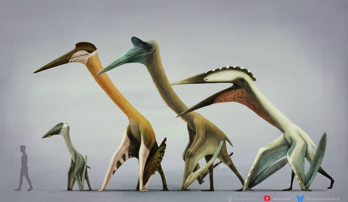 Azhdarchidae By MarioLanzas On DeviantArt azhdarchidae-by-mariolanzas-on-deviantart