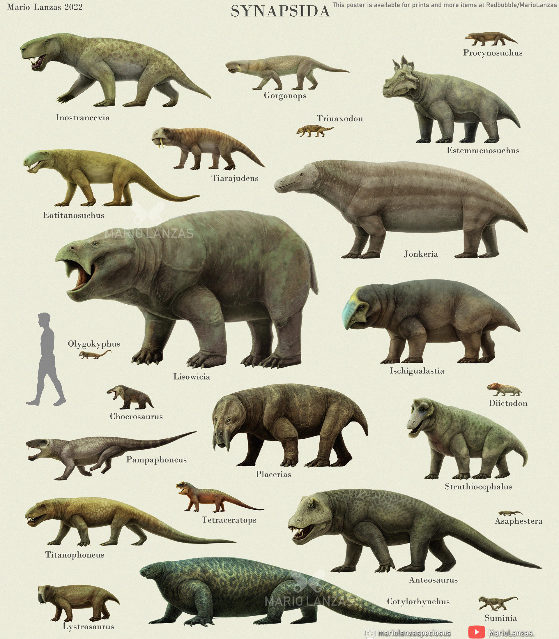 Synapsid Examples SYNAPSIDA . poster by MarioLanzas on DeviantArt