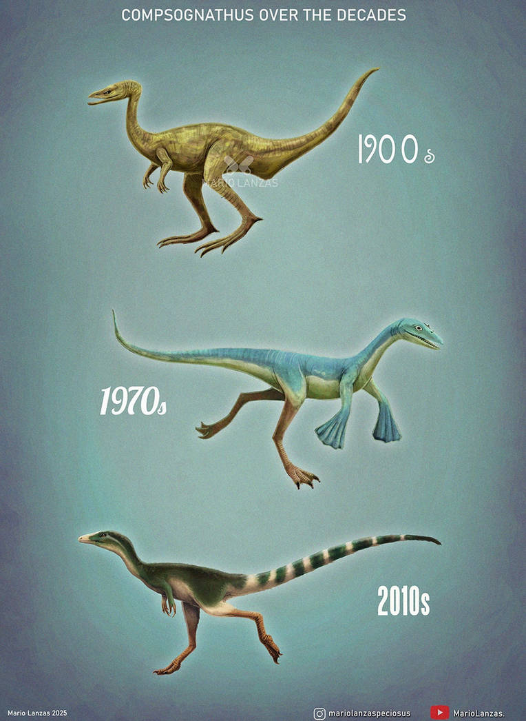 Compsognathus Over The Decades By MarioLanzas On DeviantArt compsognathus-over-the-decades-by-mariolanzas-on-deviantart
