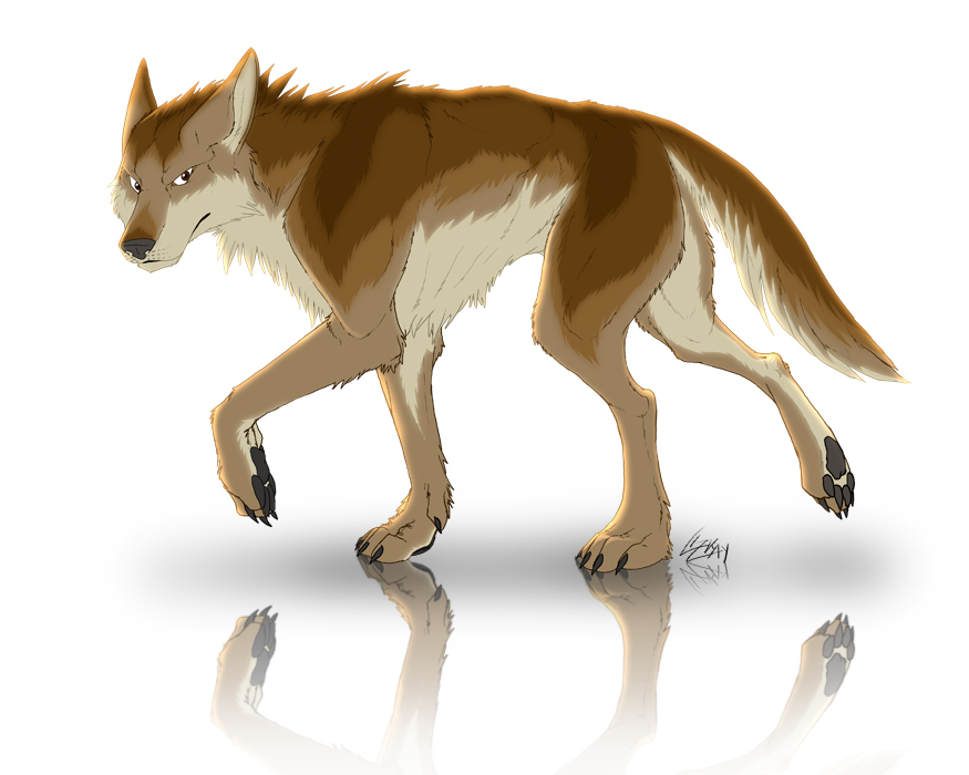 Own character wolves on Anime-Wolf-Pack - DeviantArt