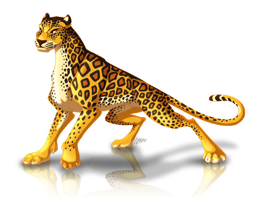 Leopard