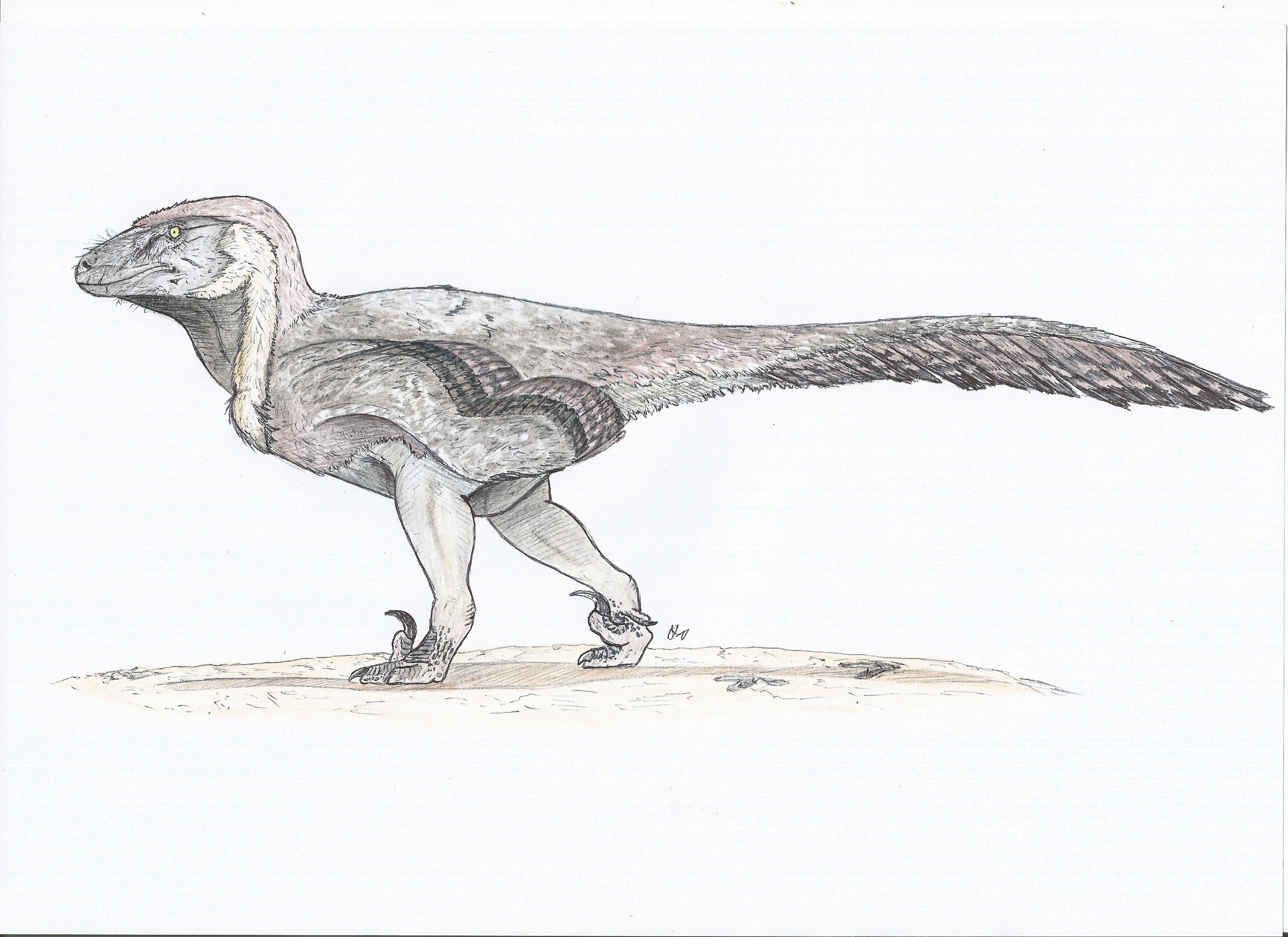 Utaraptor Utahraptor ostrommaysorum (YellowCatMember) by PhanerozoicWild on ...