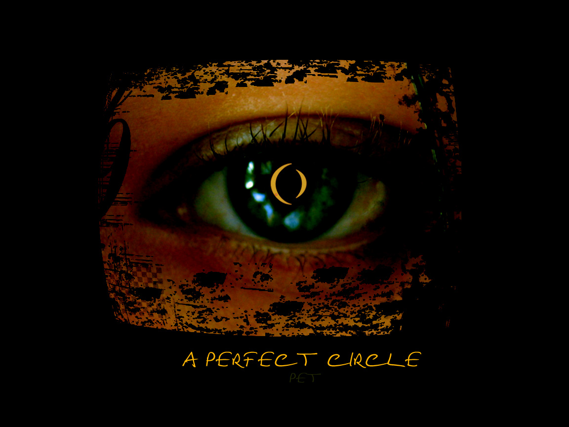 A Perfect Circle-Pet