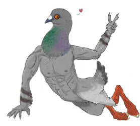 Hot Pigeon Man