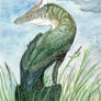 Marsh Dragon