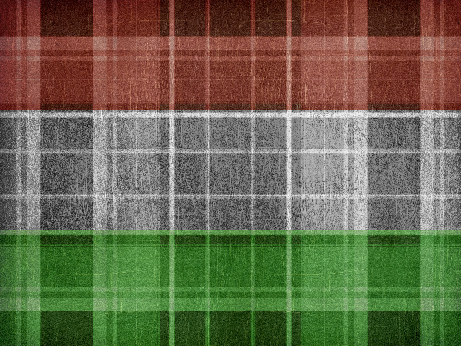 Plaid-shirted Hungarian Flag