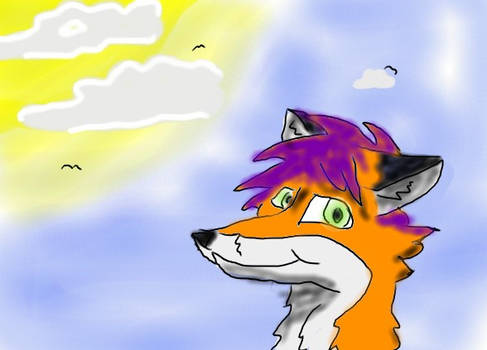 Fox n' sky