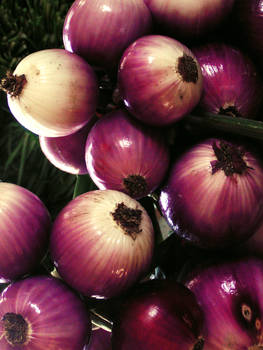 Rich Royal Onions