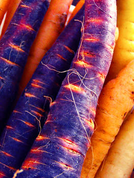 Fabulous Rainbow Carrots