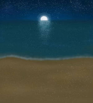 moonlight beach