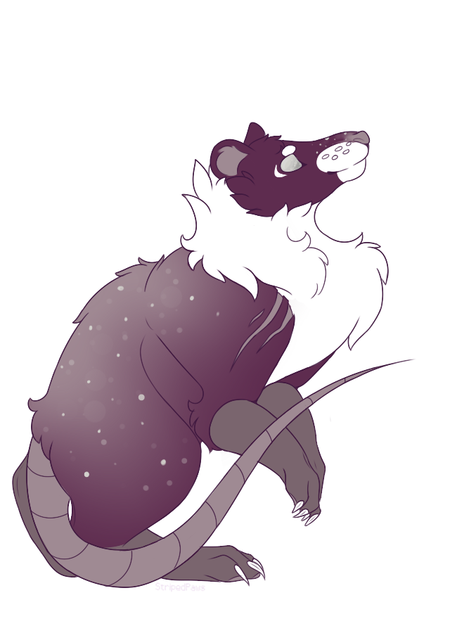 Opossums in your galaxy