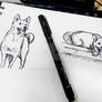 Sketchbook - Puppy 1