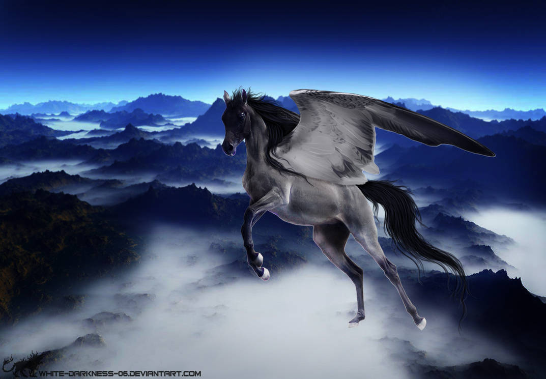 Gifts 5 Pegasus By 37DeadBones On DeviantArt gifts-5-pegasus-by-37deadbones-on-deviantart