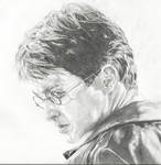 Harry Potter by michaelmdw