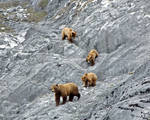 the Four Bears 5338 by hfpierson