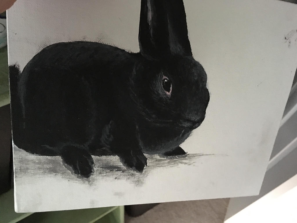 BlackRabbit by sniperfox13 on DeviantArt