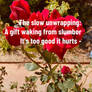 The gift