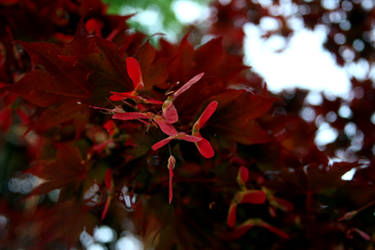 From Below by Daemare