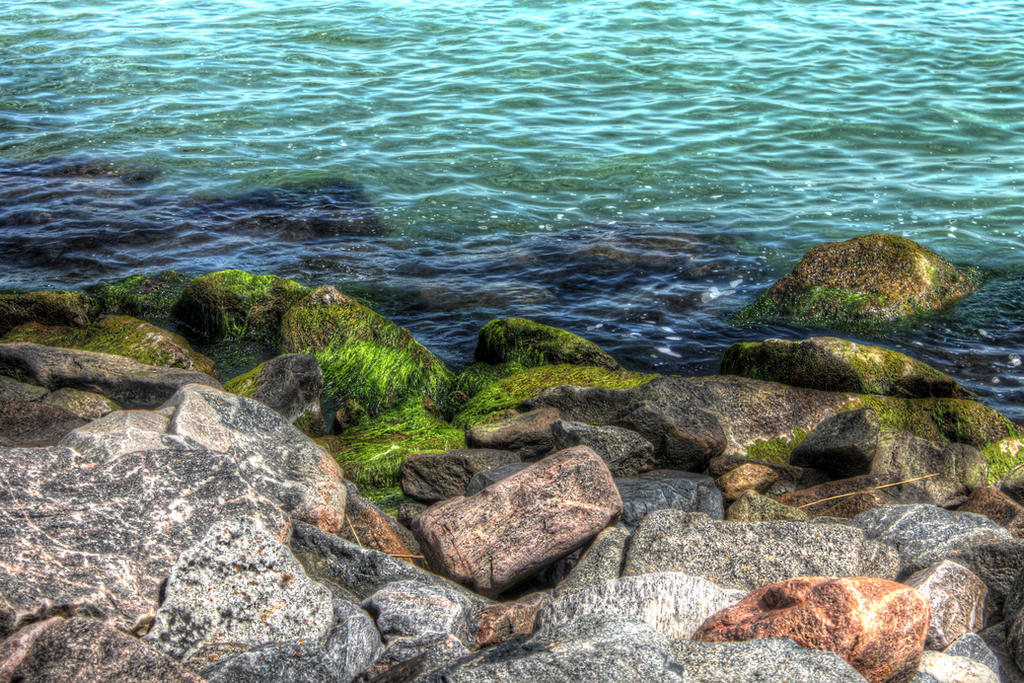 Best Exercise for Scoliosis Low-Impact Exercises for a Healthier Spine Best Exercise for Scoliosis Low-Impact Exercises for a Healthier Spine