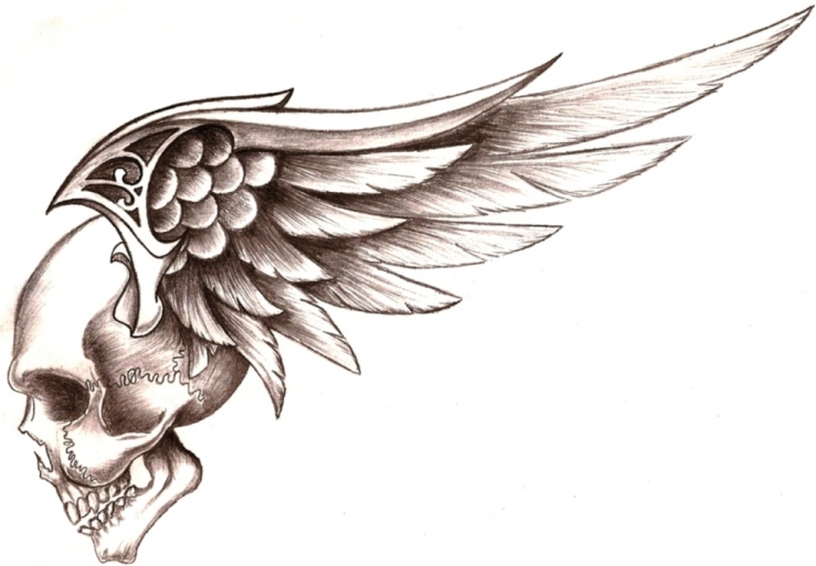 skull wings by 50LbHead on DeviantArt