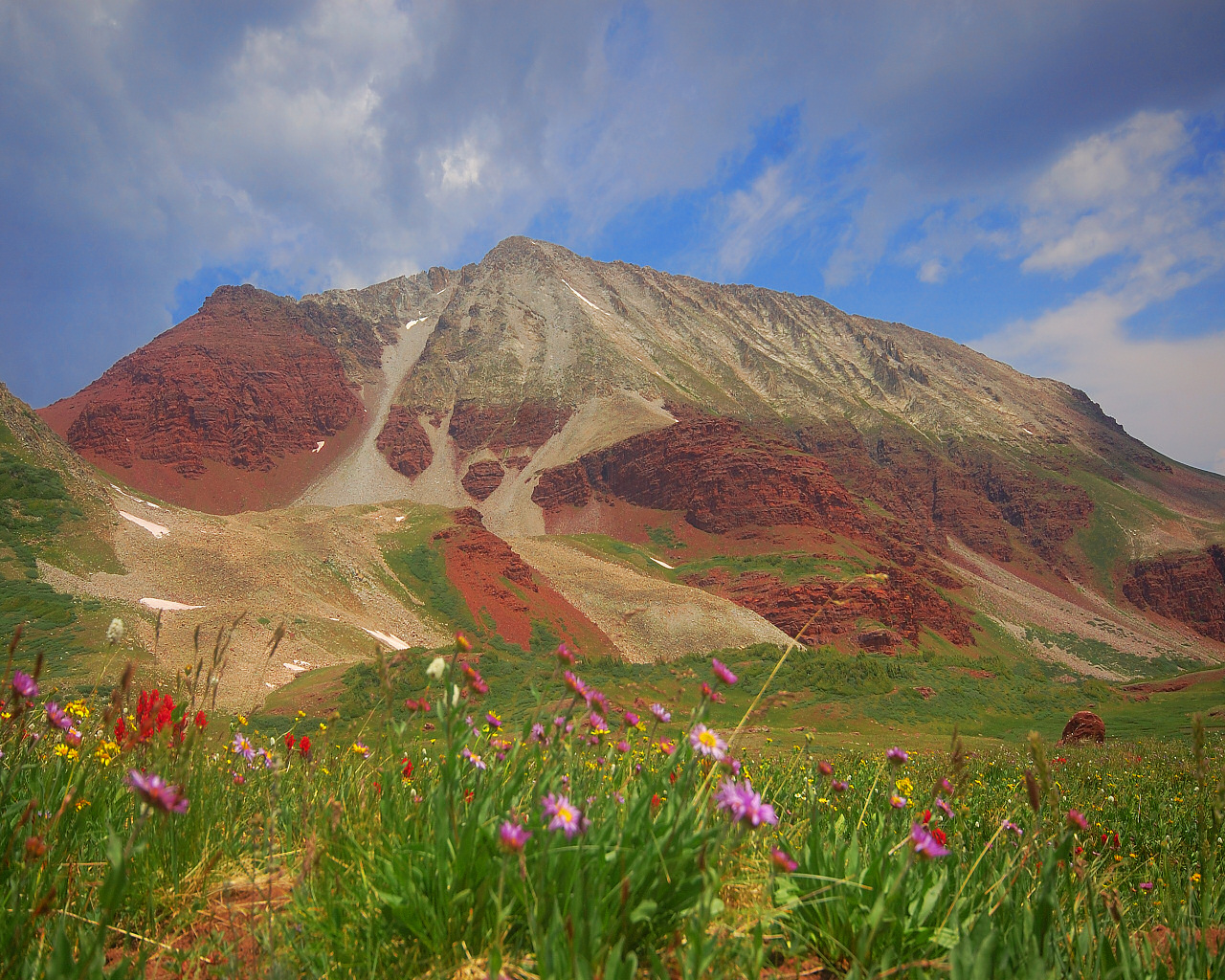 Flower Spice + Gingerbread Mt.