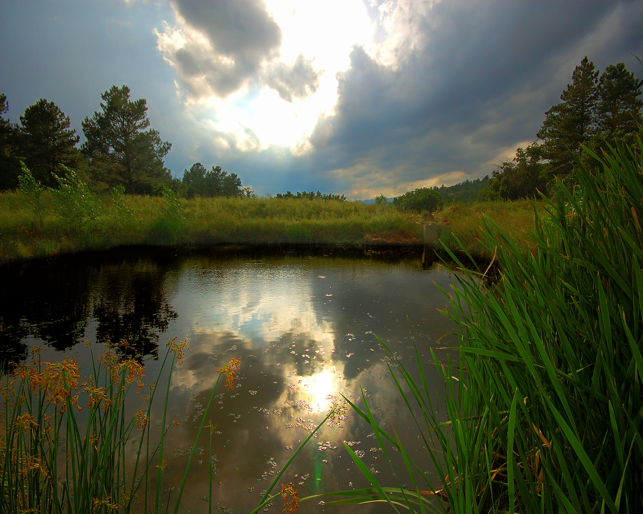 Austin Bluffs Pond