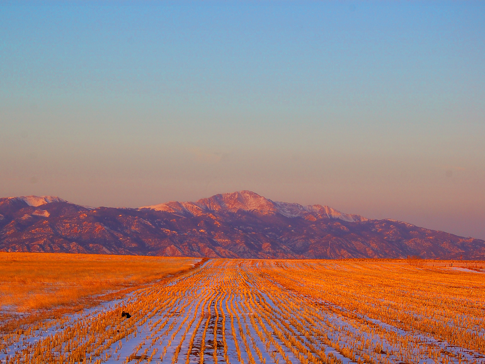 From Plains to Peak