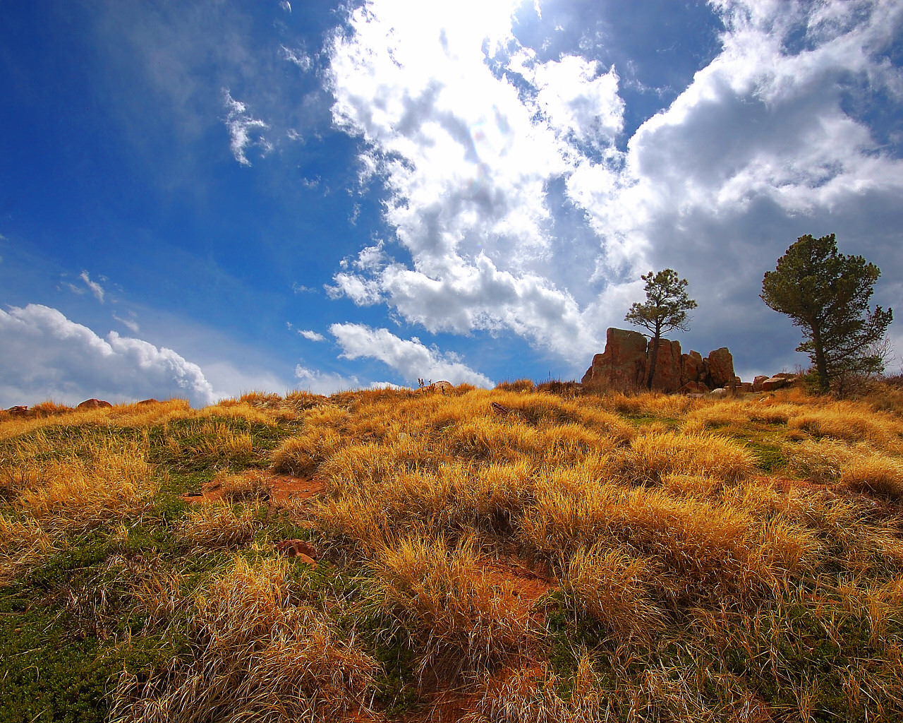 Rolling Sky Rolling Meadow