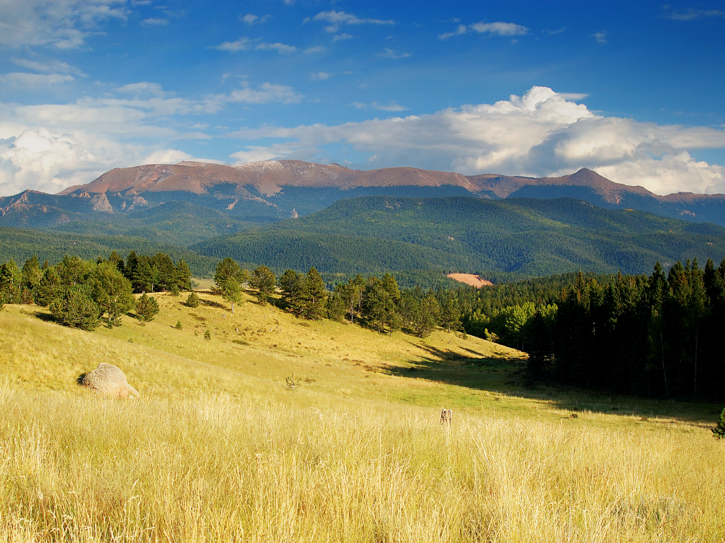 Meadow to Mountain