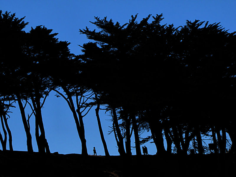 Backlit Landscape by blackrock3 on DeviantArt