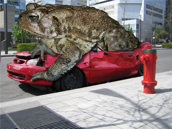 Car Getting Toad Car Toad by blackrock3 on DeviantArt