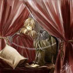 HP: Remus and Sirius