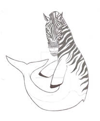 Zebra-Dolphin -- Zolphin