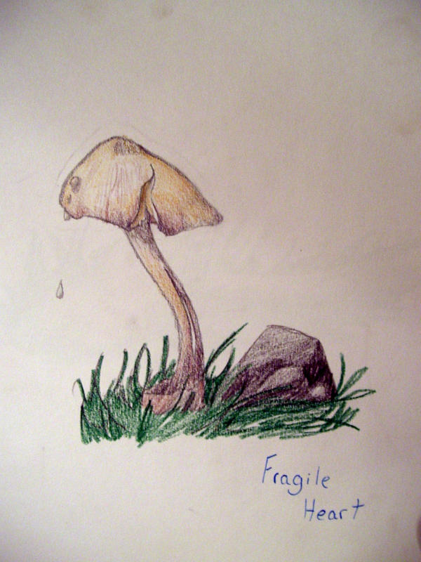 mushrooms II: Fragile heart