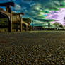 Ants Eye View