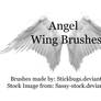 Wing Brushes - DONT FAVE HERE