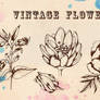 Vintage Flowers