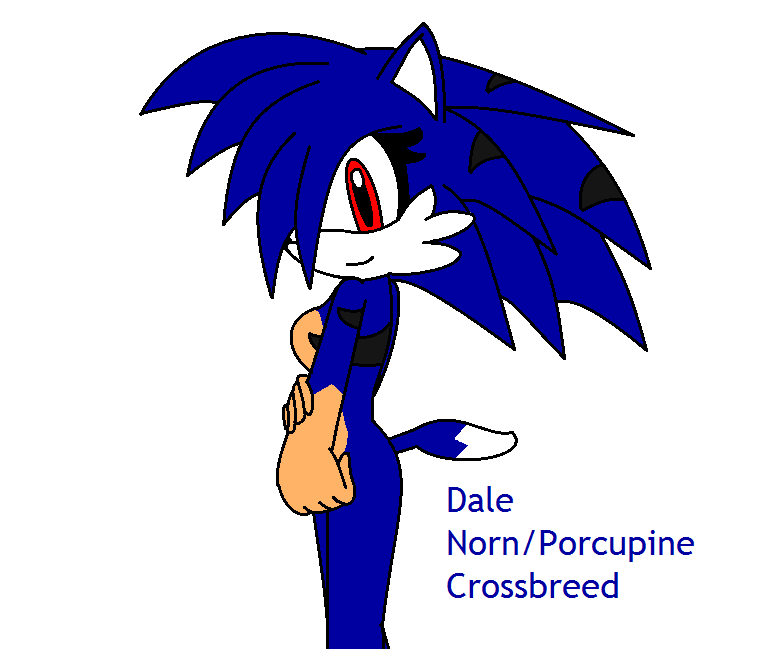 Sonic Char Adoptable 1