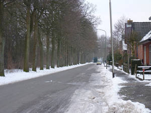 Snow into a  street