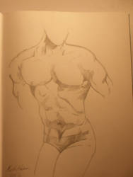 Male Anatomy Drawing 3