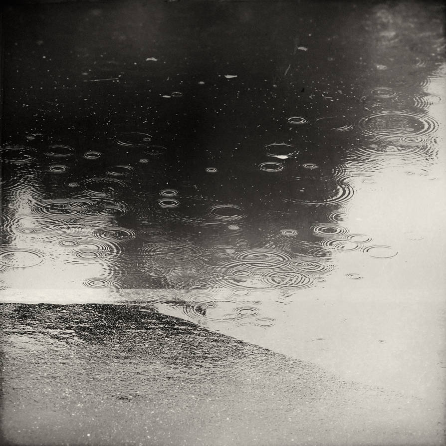 Shoreline by Poromaa