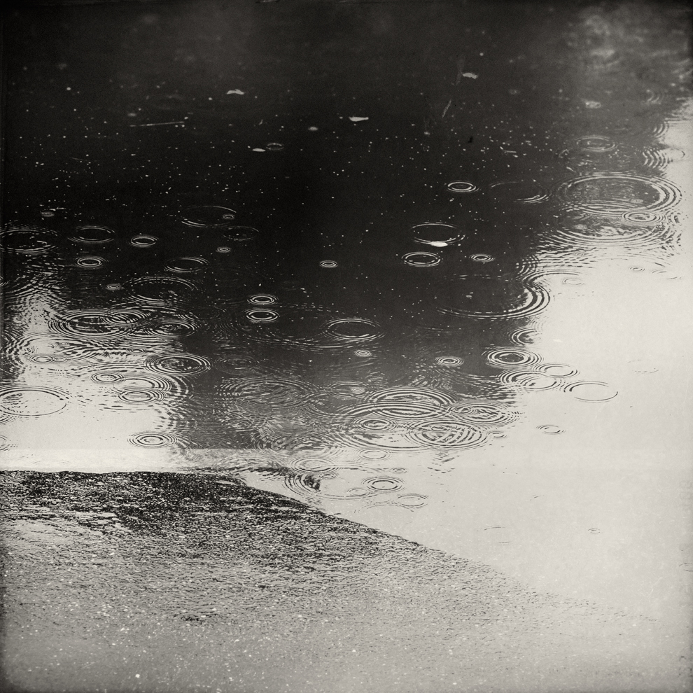 Shoreline by Poromaa