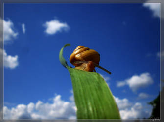 The Snail On The Sky 3