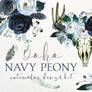 Boho Navy Peony Floral Design Kit ~ Illustrations 